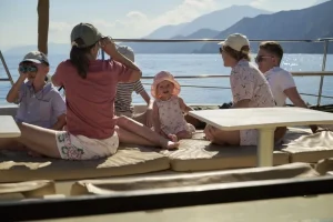 Panormo image 3 webp